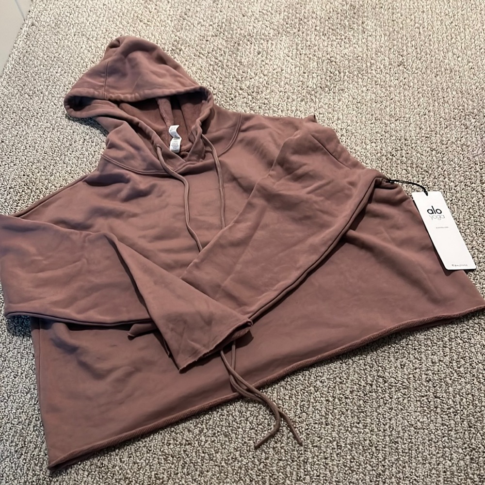 Alo box hoodie in smoky quartz